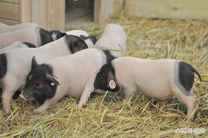 【电子商务】一个很另类的电商生意，每月能赚3万以上，看了你别不信