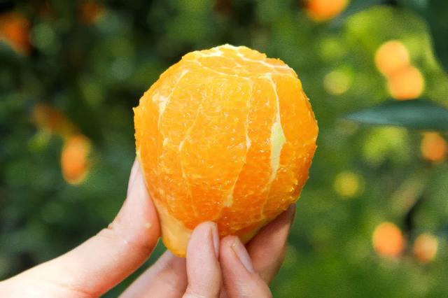 水果@七月一到，这些碱性水果要多吃一点，直到三伏尾，度过苦夏很舒坦