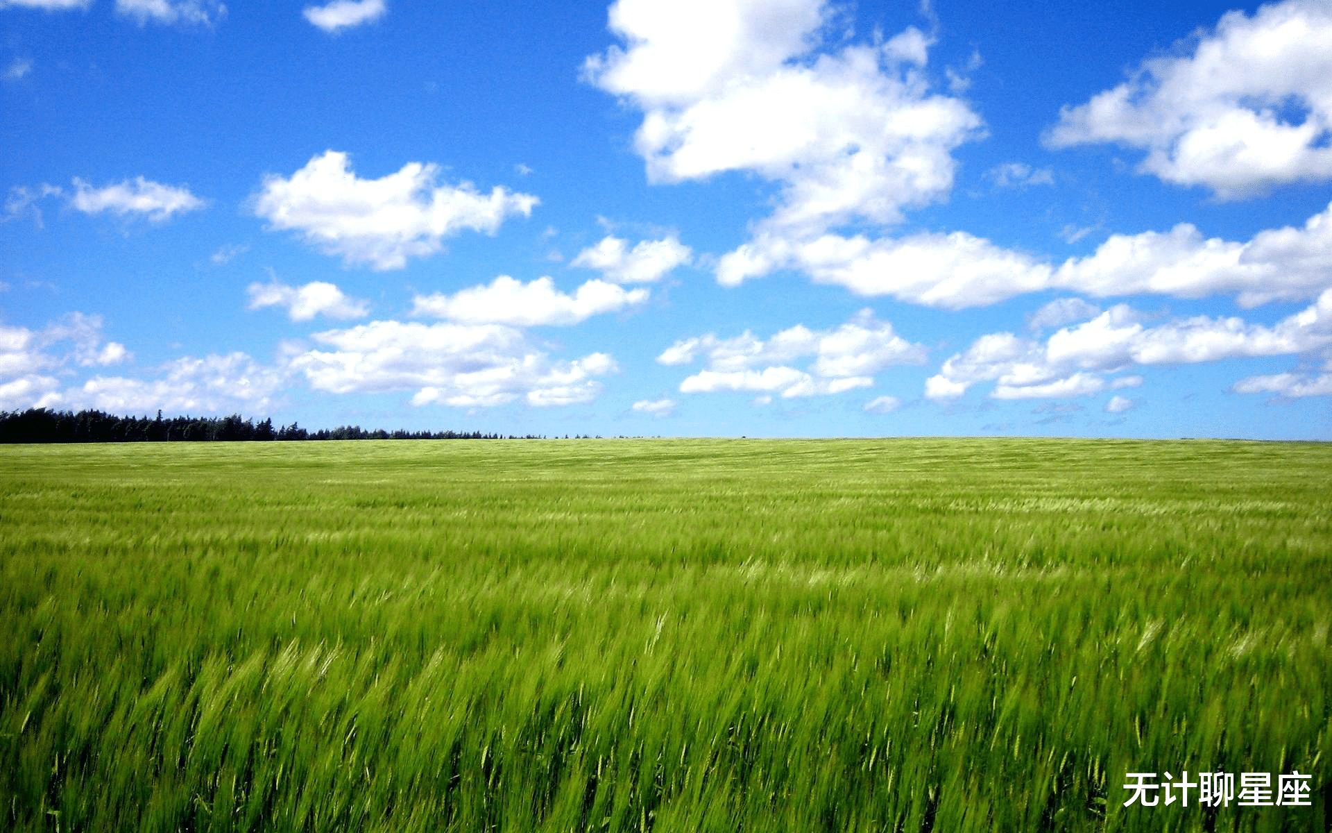 狮子座|下个星期后，感情有所转机的4个星座，别轻易再谈分手