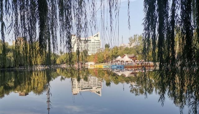 荷花|西安又一公园走红，景色媲美西湖，位于市中心门票免费