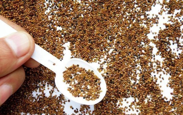 疾病|不想肾走“下坡路”？忌口3物，摒弃2习，养肾护肾，肾也许报答你