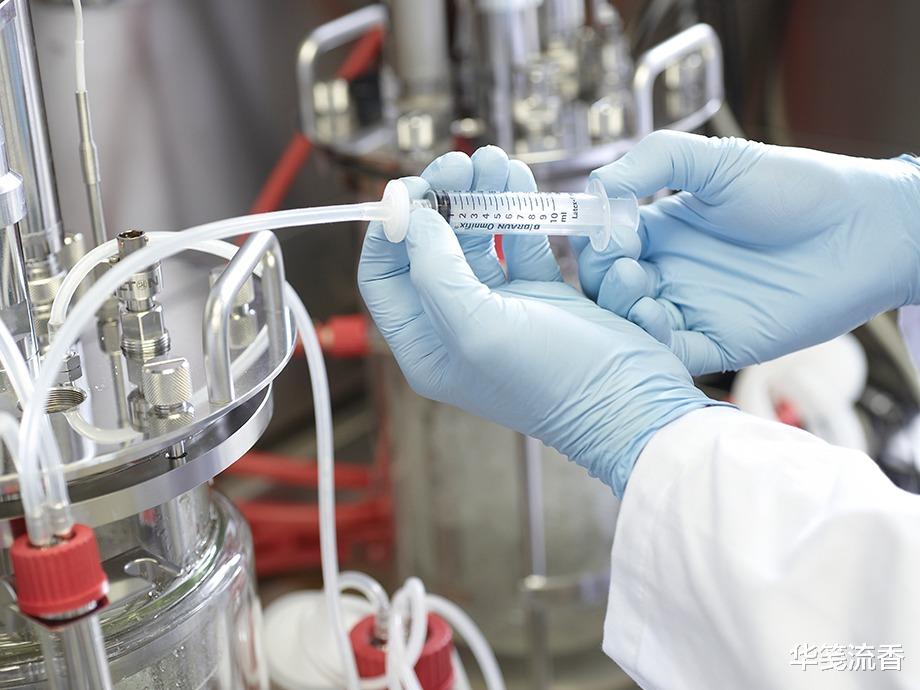 毒蛇|农村老人说，被毒蛇咬死的鸡是1等1的美味，这是真的吗？