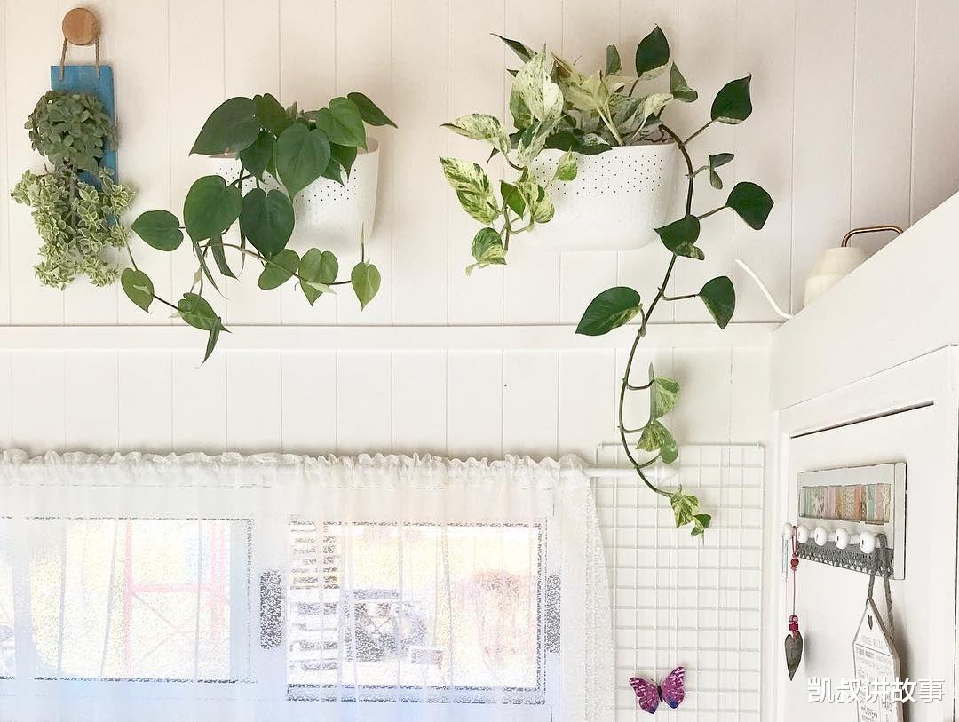 结婚|55岁不结婚，晒房间引100万人点赞：生活好不好，看卧室就知道