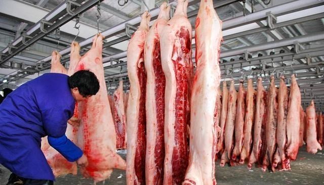 猪肉|猪肉飙涨持续一年多，这些捣蛋鬼没捉住，为何让非洲猪瘟背黑锅？