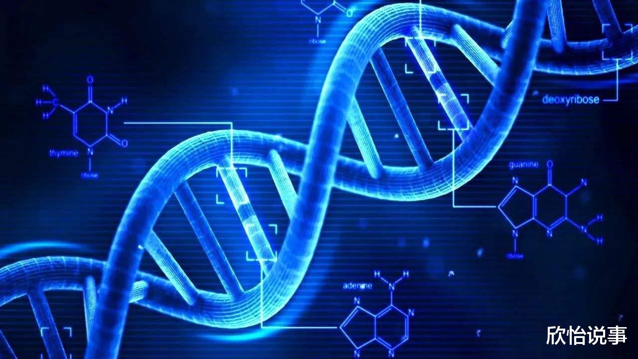 核辐射|人体DNA一旦断裂后会发生什么？日本人亲身“试验”，让人难以想象！