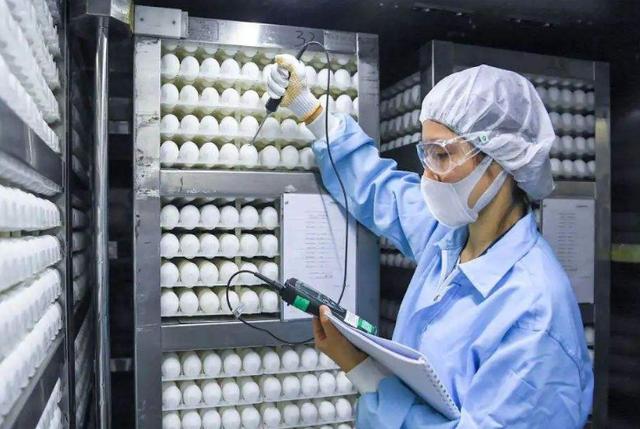 台头闻|世卫传出消息，陈薇院士：我们再也不要看任何人的脸色