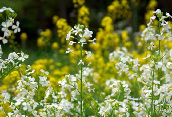 #处女座#2020年5月开始，4大星座运势节节攀升，财源广进，生活乐无忧