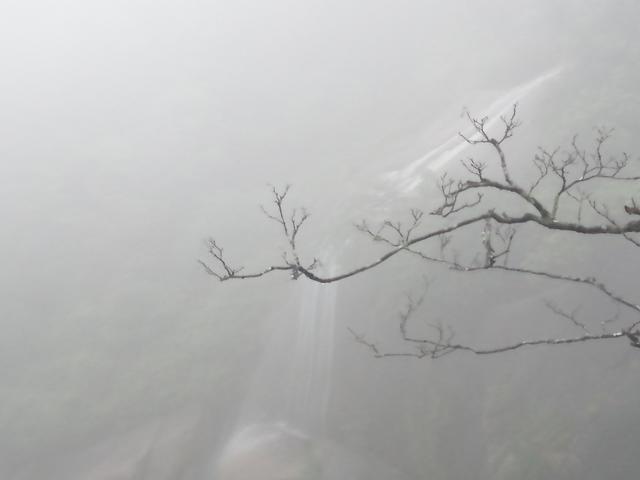 『三清山』我从三清山回来了，很失望