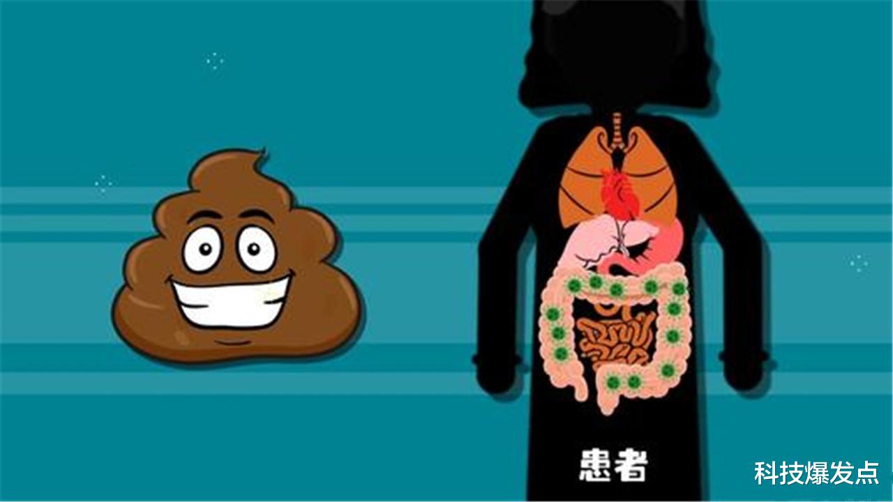 辟谷|人身体还有第2颗大脑？粪便移植有这么大作用？就像换了一个人！
