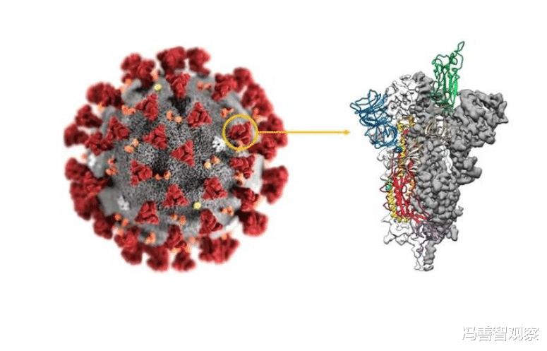 ##疫苗也没用了?病毒正在发生变异,专家:这是一个非常危险信号