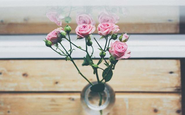 「星座女」这3个星座女，骨子里散发自信的光，撩人不自知