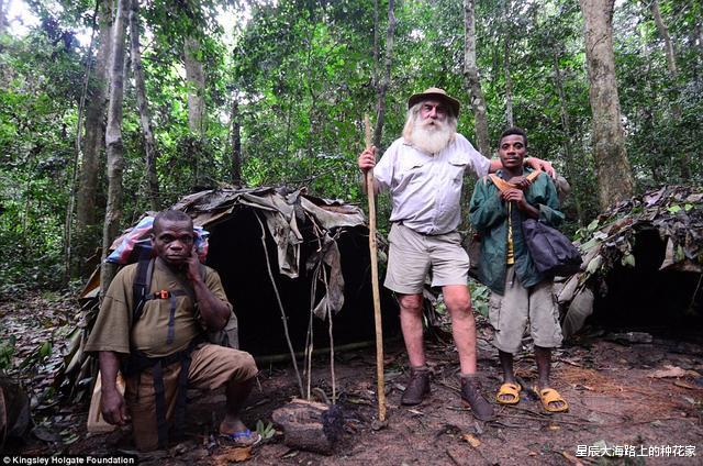 恐龙|文艺复兴时期油画中出现恐龙!不是早灭绝了吗?到底是什么动物?