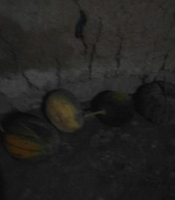 第一次去男朋友农村老家, 没见过这么“破”的房子