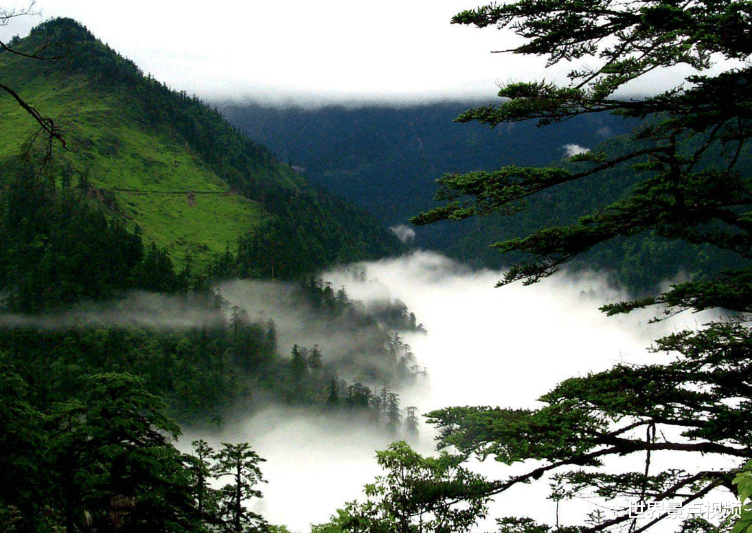 百慕大三角|5个地球上的“生命禁区”，进入容易出来难，其中三个在中国