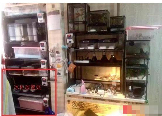 杨俪萍|历时1325天冰柜藏尸案终了结, \小胡歌\被判死刑, 曾参加<我型我秀>