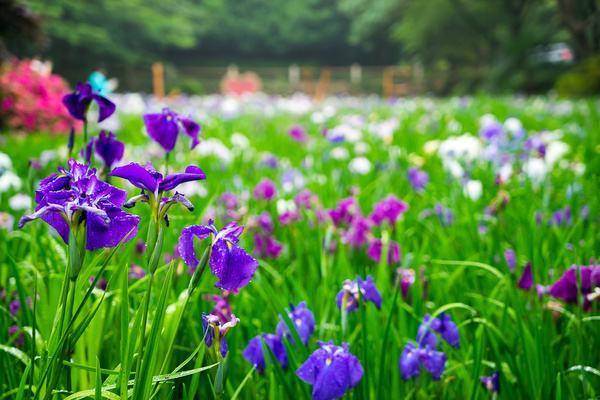 『运势』自带万人迷的气场，有几个星座女，总会吸引到优质男