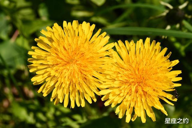 白羊座|在8月份,打破常规,奋发向上,扬帆起航的三大星座