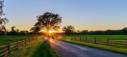 运势|独立豁达,纯净高贵的星座女,很多人只能观望,偷偷迷恋