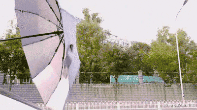 严选 国产新型伞打破传统雨伞弊端,普通人觉得贵,但其实超有必要