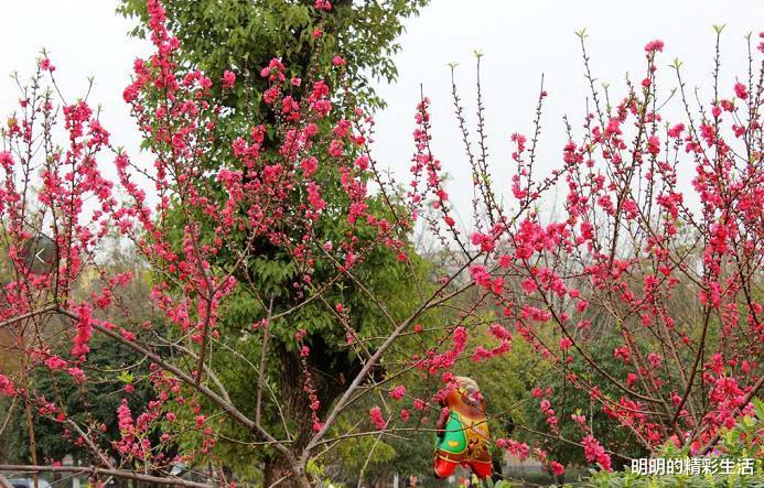 运势■最近十天,喜得财神垂青,运势上涨的3生肖,收获横财旺福