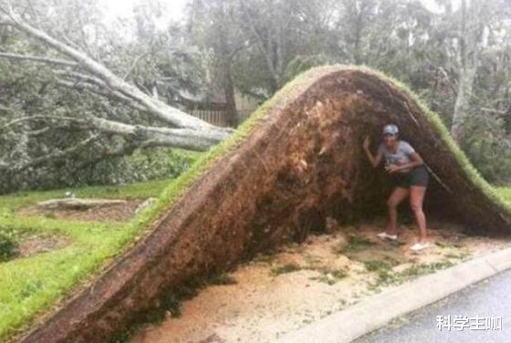 |10张图让你知道,大自然的力量有多强大,人类有多渺小!