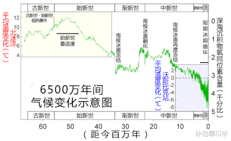 哺乳动物|男人都是女人生的,那世界上第一个女人是怎么来的?