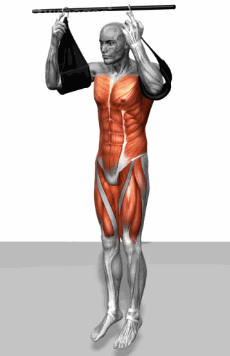 #哑铃#这是最全的训练图了，看完你就知道每一块肌肉改怎么练了