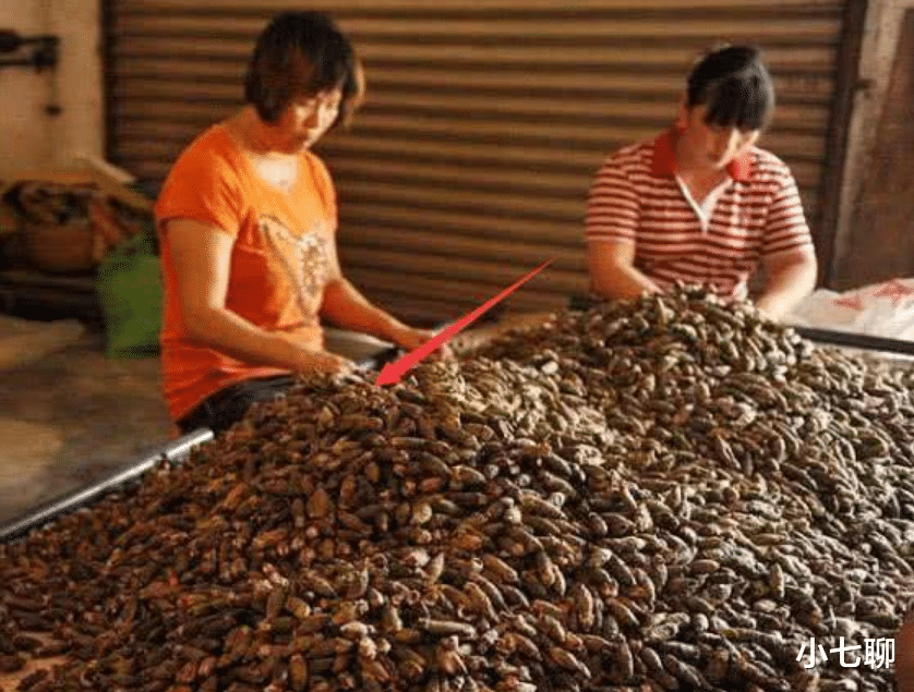 致癌物|央视曝光“一级致癌物”，还有人天天当零食吃，甚至供不应求！