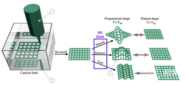 机器人|瑞典大学研究人员在3D打印机基础上研制出4D打印微米级软机器人