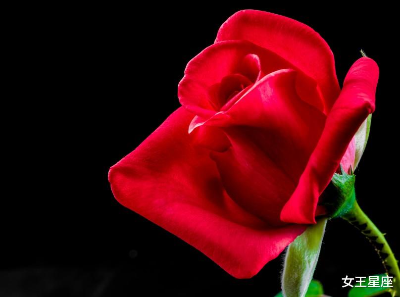 生肖|接下来三天财势喜人，吉星照射，熬过大难的3生肖，贵人八方来，惹不起