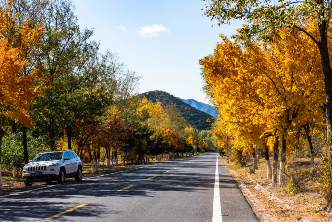 延庆|别找了，京郊 “赏秋最佳景观位”在这里！