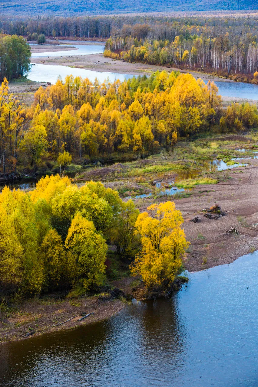 长白山|秋天的东北藏不住了，一组照片流出后，全世界都被惊艳了！