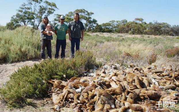 美国|澳大利亚慌了！当地人哭诉：这么吓人的东西，咋不去中国？