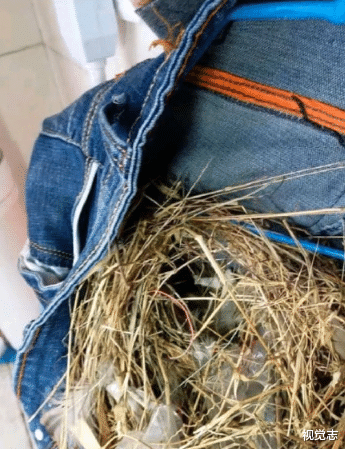 「标题党」比「假期结束」更可怕的事发生了……