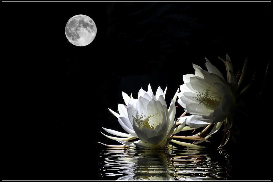 股价|股价起飞前，“换手率”征兆已经说明一切，千百次试炼竟无一失败