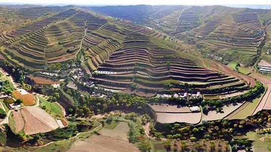 甘肃|千万别跟甘肃人吃饭