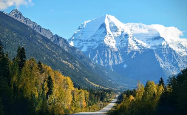 生肖|10月中旬，相思难忘，再诉衷肠，3生肖心怀希望，期待破镜重圆