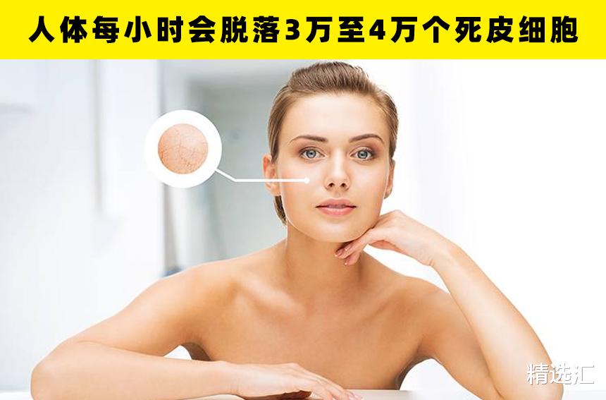 基因|涨知识：和人体有关的6个有趣的冷知识