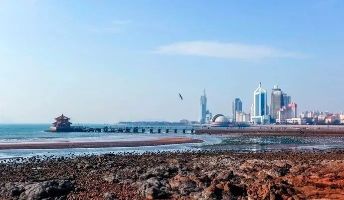 「甘南」是时候去青岛啦!