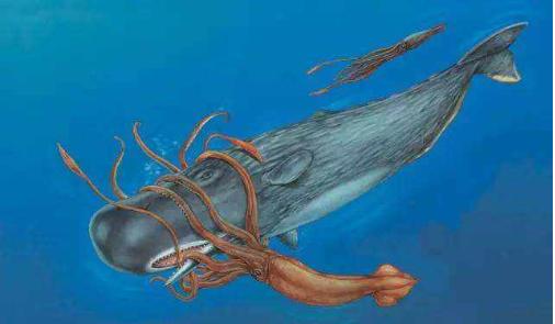 海洋生物|海底一万米到底有多恐怖？让胆子大的潜水员都感到害怕