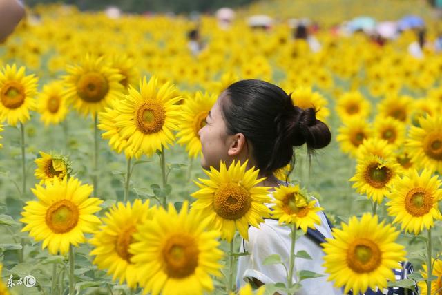 生肖■6号到5月底，横财连连爆发，24天内数钱过日子，赚钱到手软3生肖