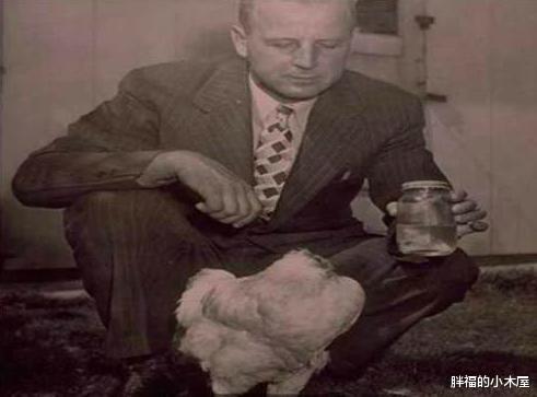 「」无头也能活？被砍了头，它却活蹦乱跳18个月才死去