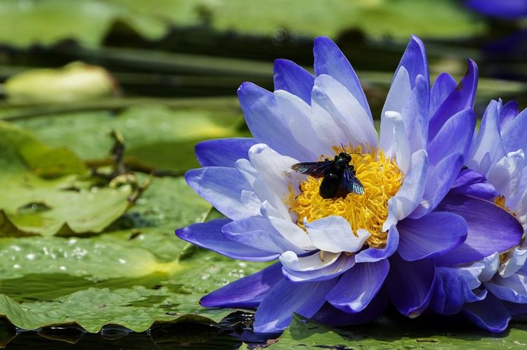 双子座|在18天内，桃花漫天，前任强势回归，再续前缘的4大星座