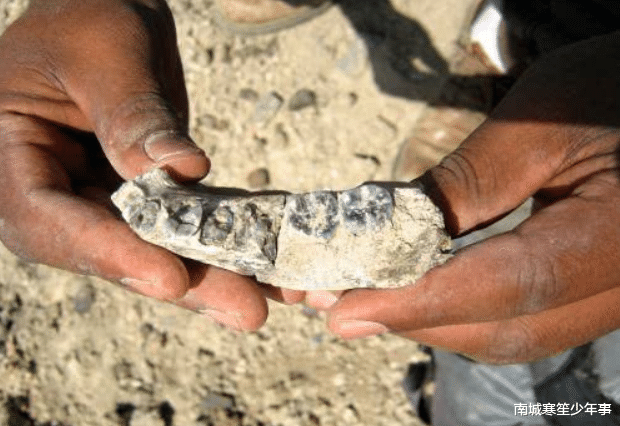 科学家@这是人类起源最全的解释,以及人类被放逐的真相,彻底颠覆了三观