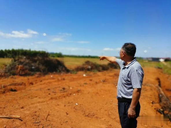 天天读报会|江西农民花50万种60亩果树遭强行推平,乡政府:会赔,13万