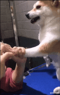 三轮车|“有没有懂艺术的朋友？很疑惑这幅画表达的到底是什么哈？”