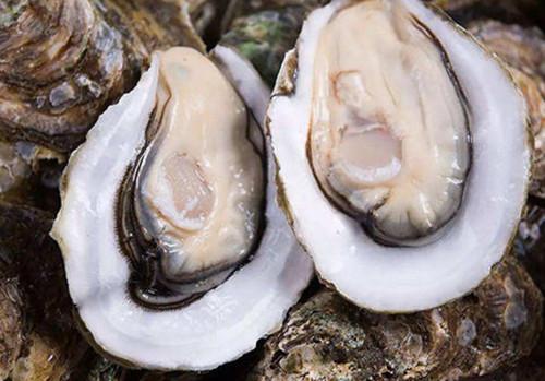 【】长相明明一模一样，为啥一个叫生蚝一个叫牡蛎？原来有这种区别