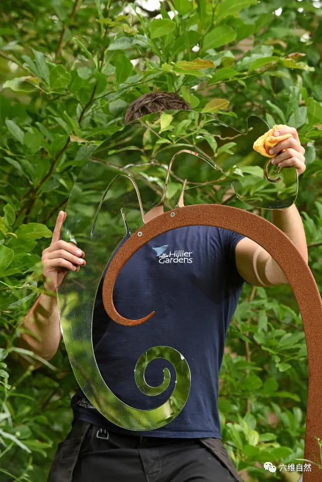 火星探测器|英一花园有只人造变色龙,能反射附近的物体,完美地躲过人类视觉