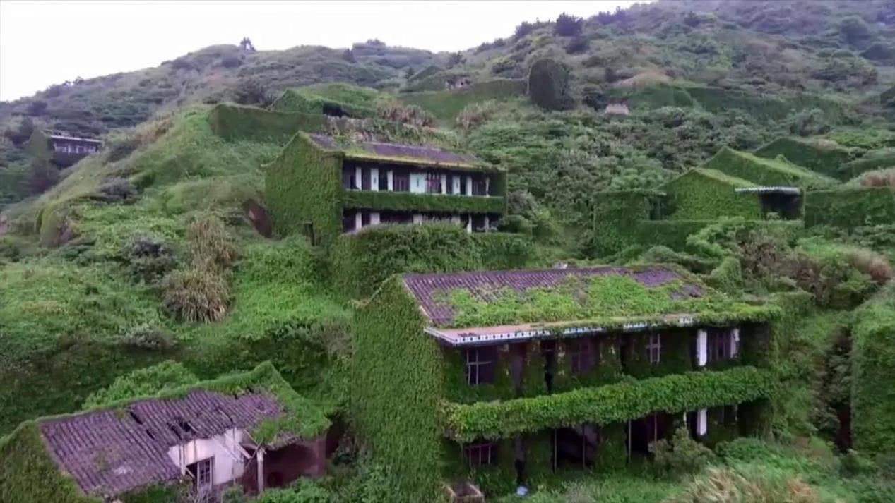 @浙江的“无人村”，让我们看到了地球上若没有人类的样子