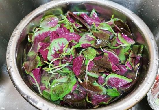 「苋菜」六月苋，当鸡蛋，七月苋，金不换
